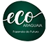 eco_-_log